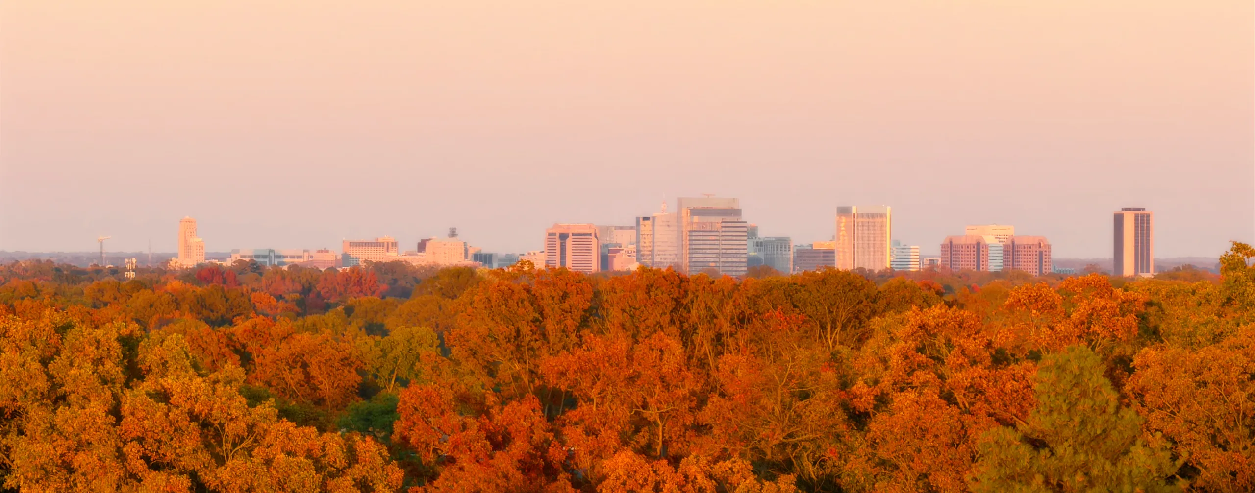 Rooftop View of Downtown Richmond from Springline at District 60